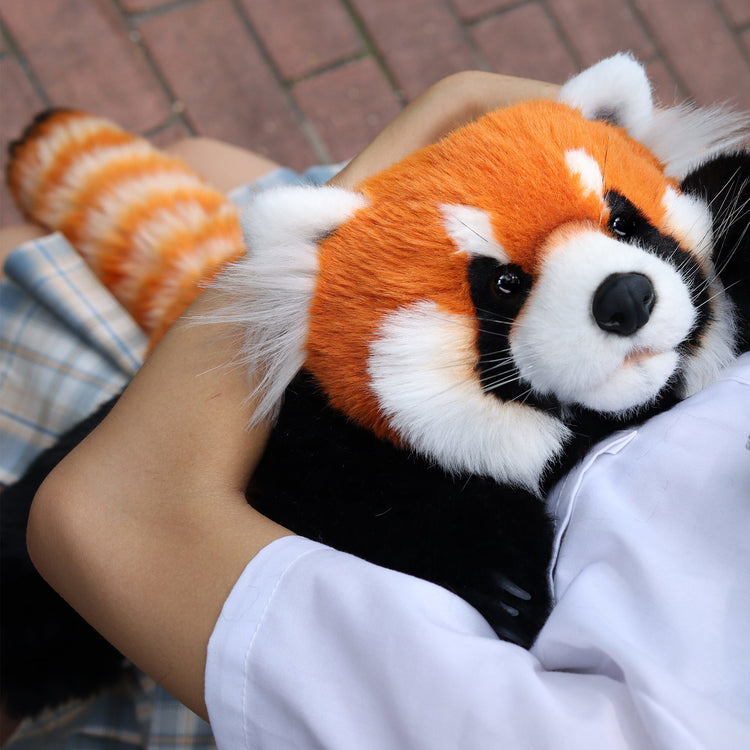 Red Panda Weighted Plush – 2.5 lb