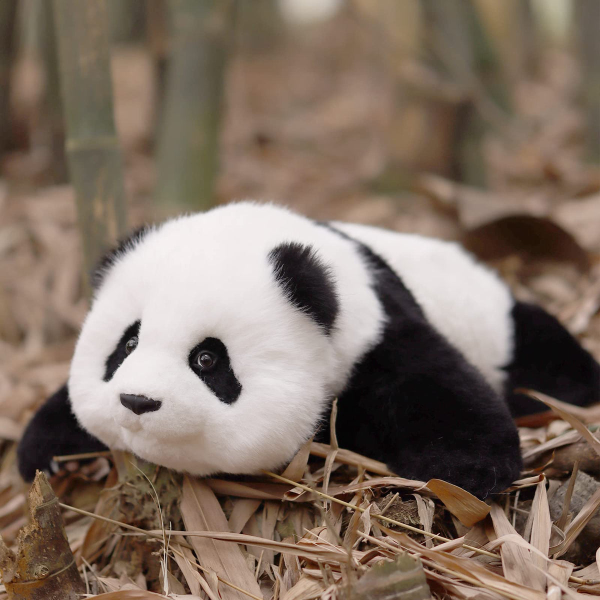Red Panda Weighted Plush – 2.5 lb