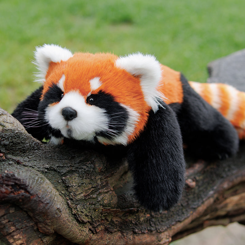 Red Panda Weighted Plush – 2.5 lb