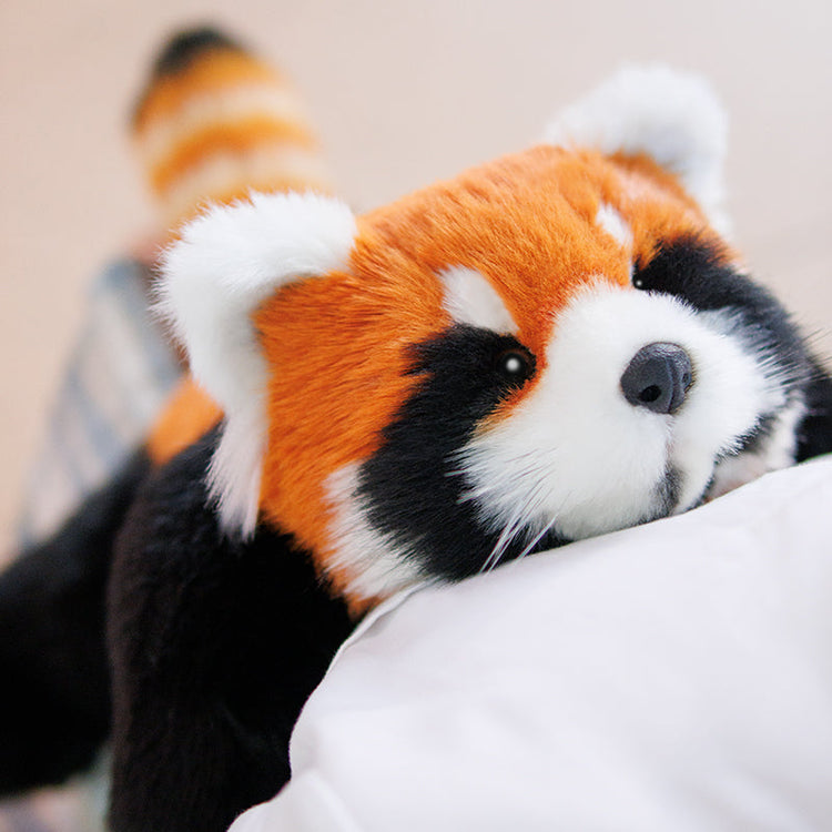 Red Panda Weighted Plush – 2.5 lb