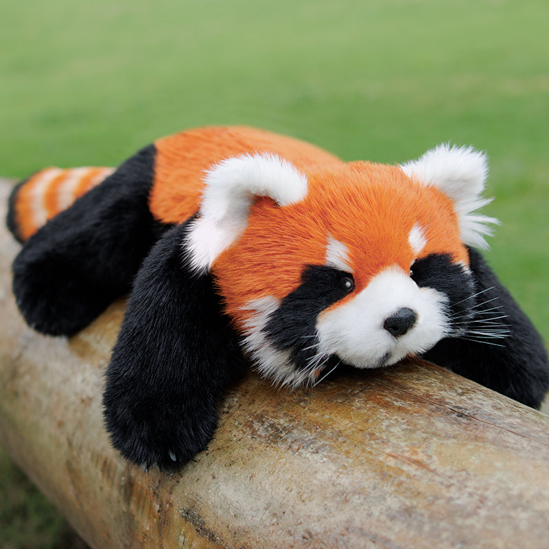 Red Panda Weighted Plush – 2.5 lb