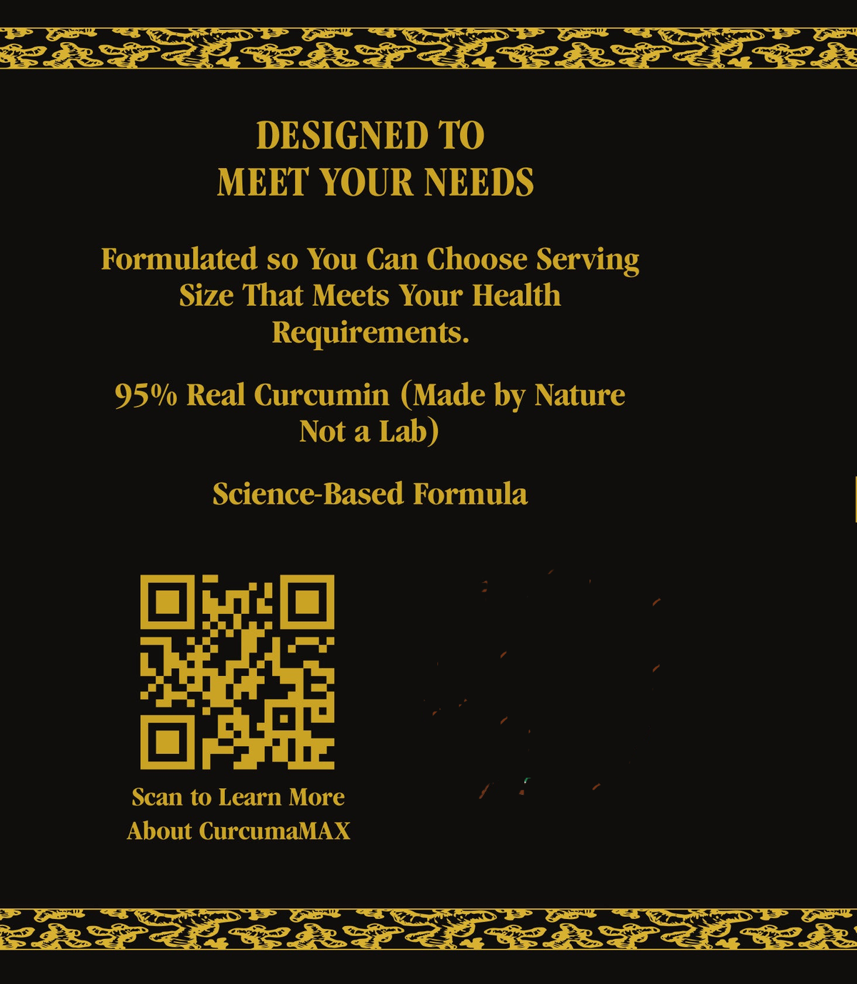 CurcumaMAX Fermented Turmeric Powder