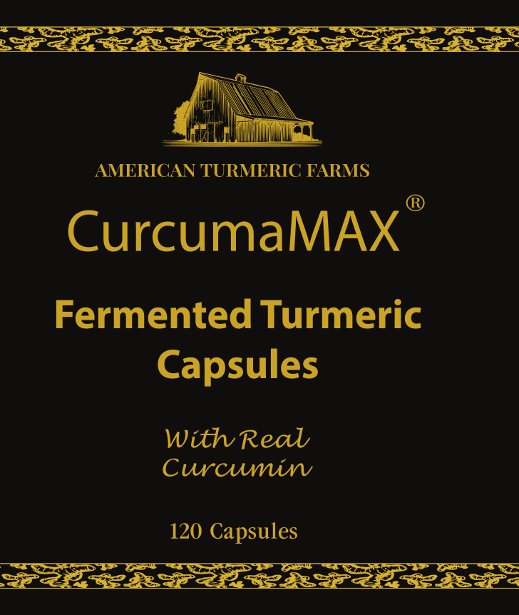 CurcumaMAX Fermented Turmeric Capsules – 120 Capsules