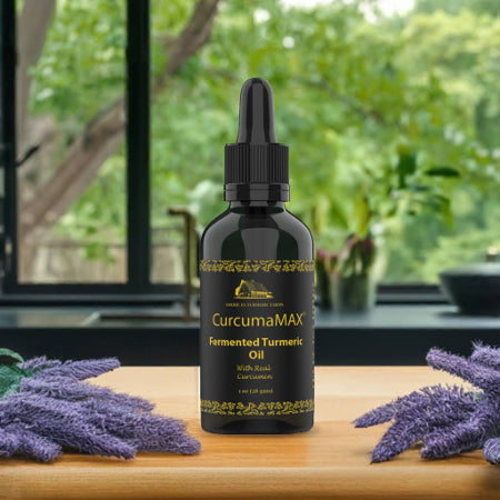 CurcumaMAX Fermented Turmeric Oil – 50ml